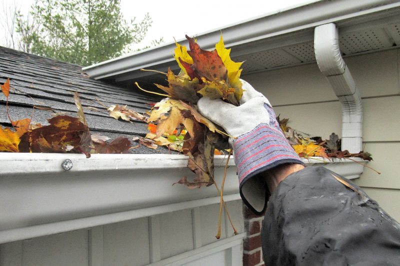 Removing Debris from Gutters