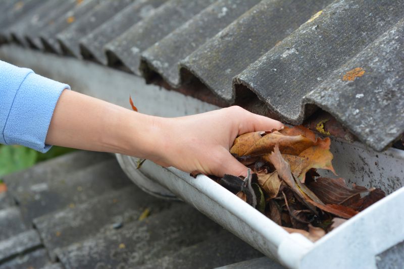 Clean Gutter