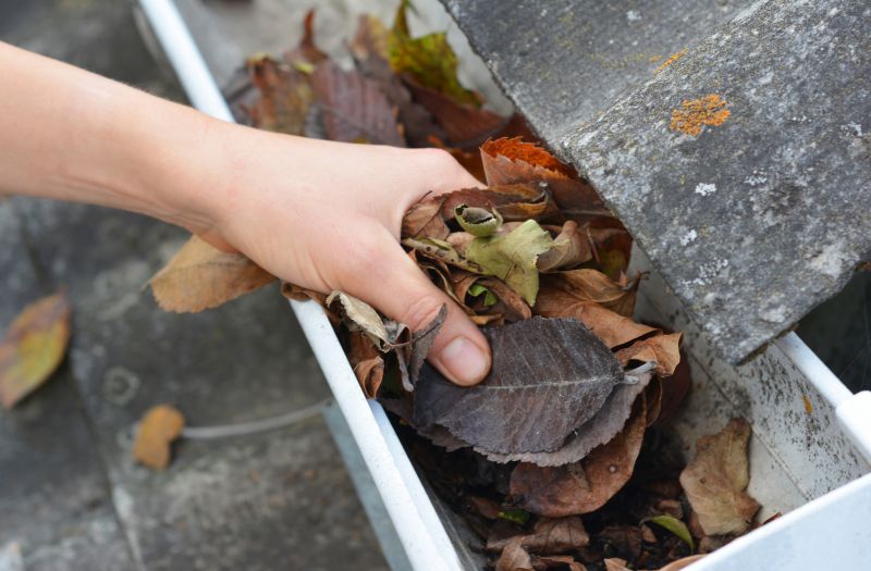Professional Gutter Clearing