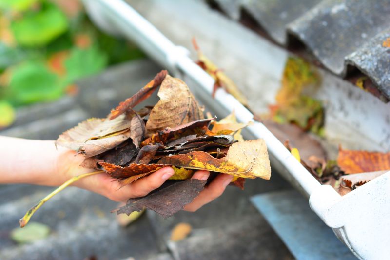 Gutter Leaves Removal