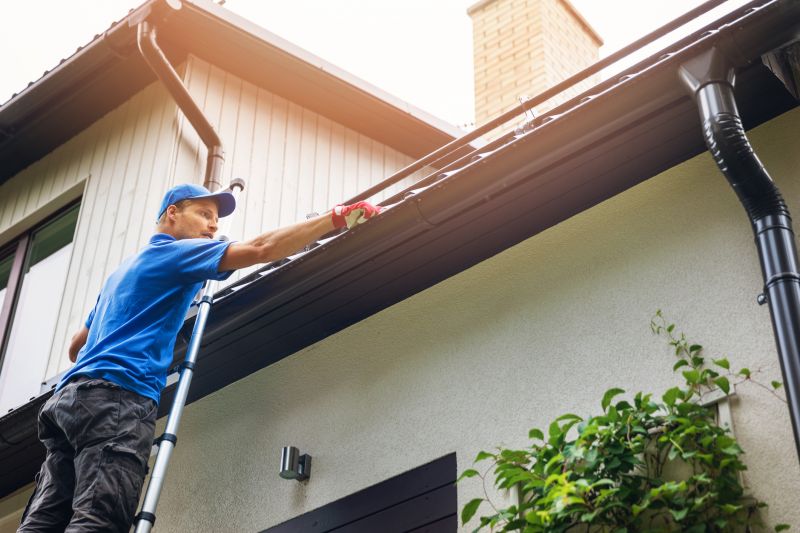DIY Gutter Cleaning Tips