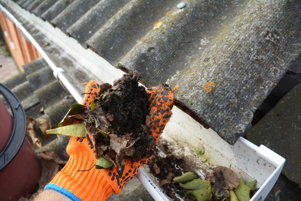 Seamless Gutter Cleaning in Alpharetta