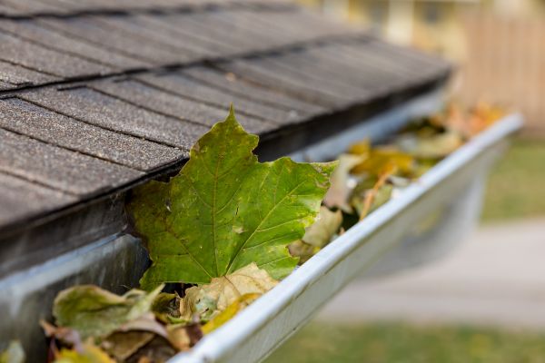 Gutter System Cleaning in Alpharetta