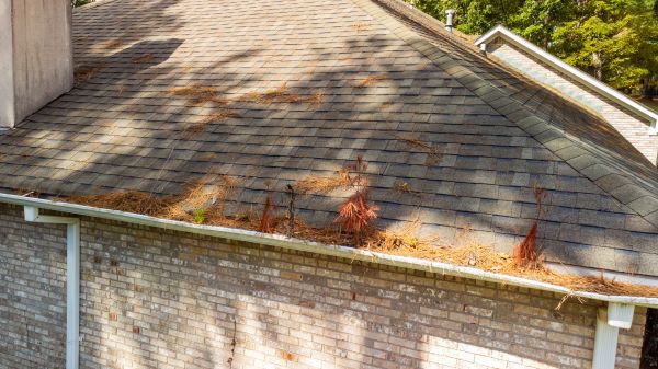 Gutter Pine Needle Removal in Alpharetta